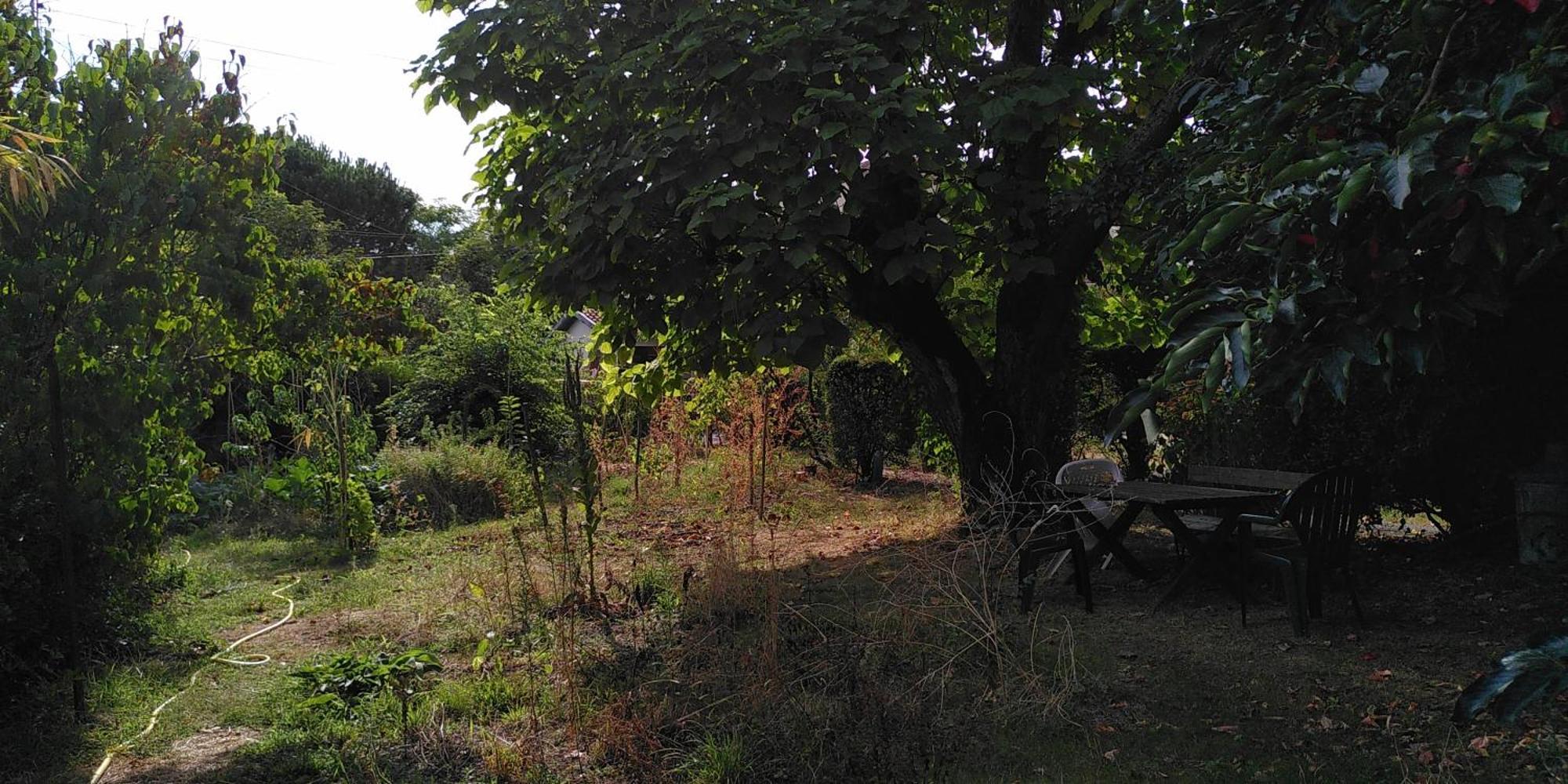 Villa Lulu Mérignac エクステリア 写真